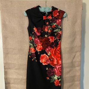 Ted Baker London Dress